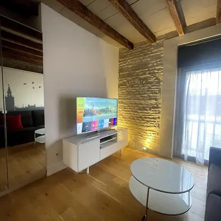Beautiful Studio-appartment In Triana Seville