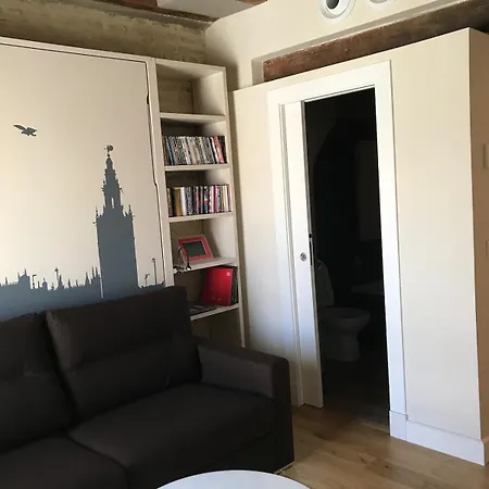 Beautiful Studio-appartment In Triana