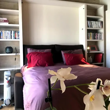 Beautiful Studio-appartment In Triana Seville