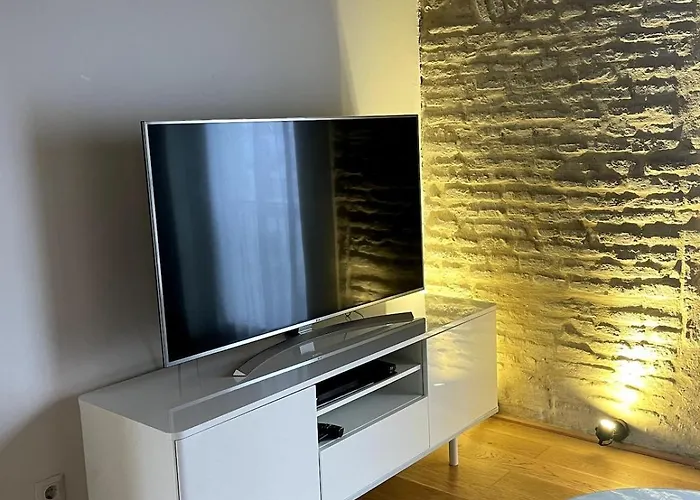 Beautiful Studio-appartment In Triana